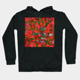 The edge of the red lake Hoodie